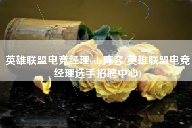英雄联盟电竞经理edg阵容(英雄联盟电竞经理选手招聘中心)
