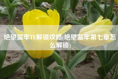 绝望监牢TE解锁攻略(绝望监牢第七章怎么解锁)