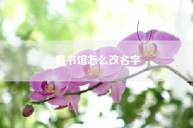 藏书馆怎么改名字