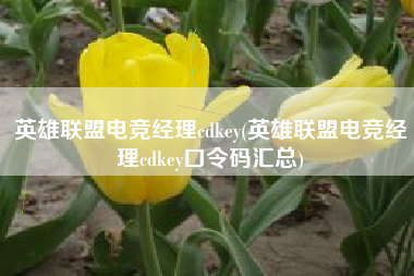 英雄联盟电竞经理cdkey(英雄联盟电竞经理cdkey口令码汇总)