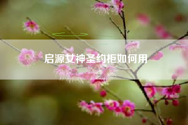 启源女神圣约柜如何用