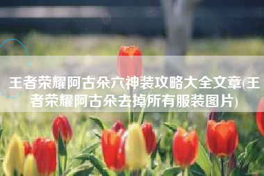 王者荣耀阿古朵六神装攻略大全文章(王者荣耀阿古朵去掉所有服装图片)