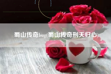 蜀山传奇bug(蜀山传奇刑天归心)