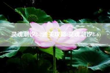 灵魂潮汐3-2通关攻略(灵魂潮汐8-6)