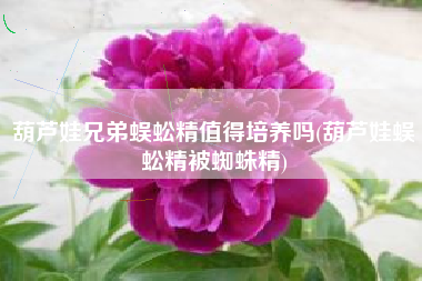 葫芦娃兄弟蜈蚣精值得培养吗(葫芦娃蜈蚣精被蜘蛛精)