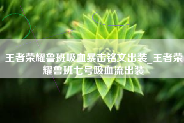 王者荣耀鲁班吸血暴击铭文出装_王者荣耀鲁班七号吸血流出装