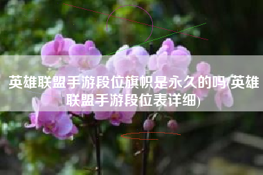 英雄联盟手游段位旗帜是永久的吗(英雄联盟手游段位表详细)