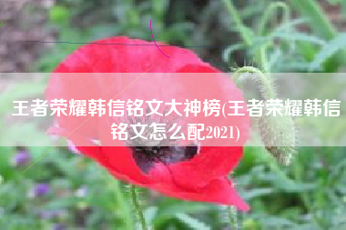 王者荣耀韩信铭文大神榜(王者荣耀韩信铭文怎么配2021)