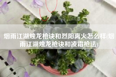 烟雨江湖烛龙枪诀和烈阳离火怎么样(烟雨江湖烛龙枪诀和凌霜枪法)