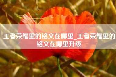 王者荣耀里的铭文在哪里_王者荣耀里的铭文在哪里升级