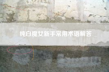 纯白魔女新手常用术语解答