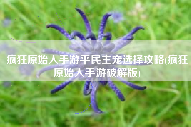 疯狂原始人手游平民主宠选择攻略(疯狂原始人手游破解版)