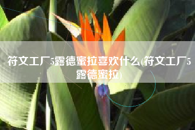 符文工厂5露德蜜拉喜欢什么(符文工厂5露德蜜拉)