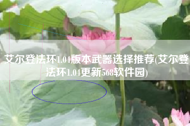 艾尔登法环1.04版本武器选择推荐(艾尔登法环1.04更新568软件园)