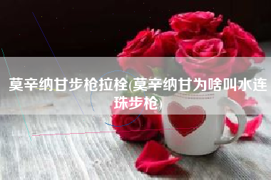 莫辛纳甘步枪拉栓(莫辛纳甘为啥叫水连珠步枪)