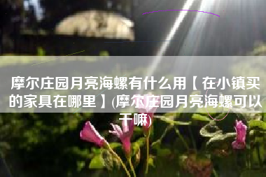 摩尔庄园月亮海螺有什么用【在小镇买的家具在哪里】(摩尔庄园月亮海螺可以干嘛)