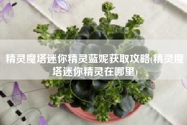 精灵魔塔迷你精灵蓝妮获取攻略(精灵魔塔迷你精灵在哪里)