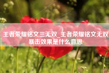 王者荣耀铭文三无双_王者荣耀铭文无双暴击效果是什么意思