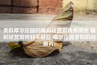 类似摩尔庄园的模拟经营游戏有哪些 模拟经营游戏好不好玩(摩尔庄园类似的动画片)
