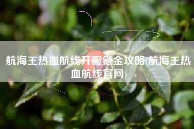 航海王热血航线开服氪金攻略(航海王热血航线官网)