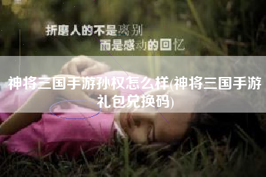 神将三国手游孙权怎么样(神将三国手游礼包兑换码)