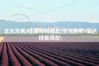 生化危机6技能如何搭配(生化危机6艾达技能搭配)