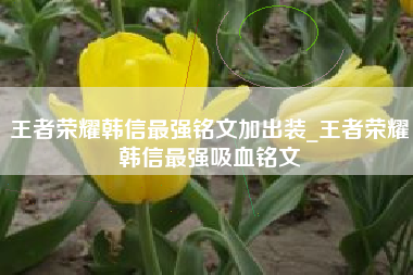 王者荣耀韩信最强铭文加出装_王者荣耀韩信最强吸血铭文