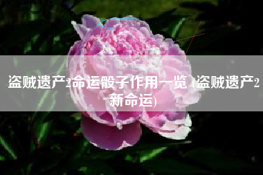 盗贼遗产2命运骰子作用一览 (盗贼遗产2新命运)