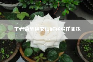 王者荣耀铭文误解客服在哪找