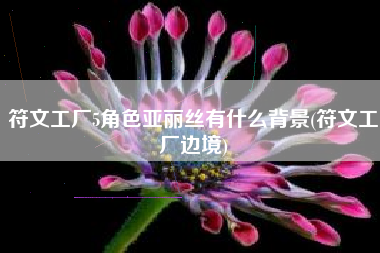 符文工厂5角色亚丽丝有什么背景(符文工厂边境)