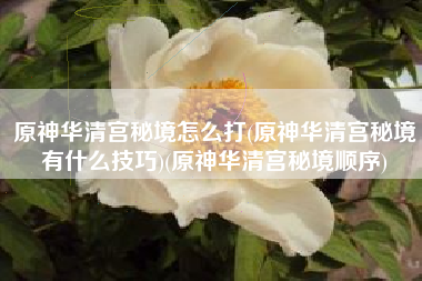 原神华清宫秘境怎么打(原神华清宫秘境有什么技巧)(原神华清宫秘境顺序)