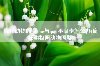 疯狂动物园iphone与ipad不同步怎么办(疯狂动物园动物图鉴)