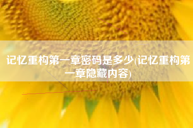 记忆重构第一章密码是多少(记忆重构第一章隐藏内容)