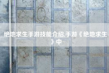 绝地求生手游技能介绍,手游《绝地求生》中