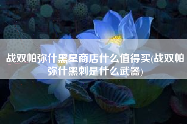 战双帕弥什黑星商店什么值得买(战双帕弥什黑刺是什么武器)