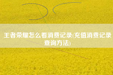 王者荣耀怎么看消费记录(充值消费记录查询方法)