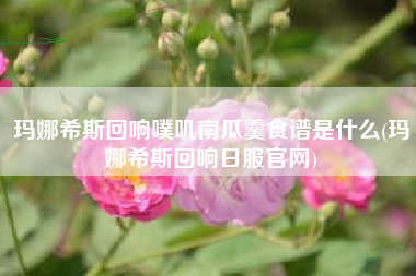 玛娜希斯回响噗叽南瓜羹食谱是什么(玛娜希斯回响日服官网)