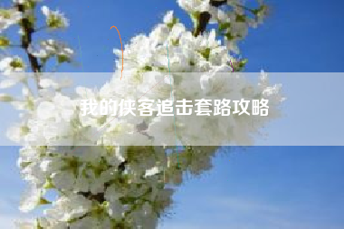 我的侠客追击套路攻略