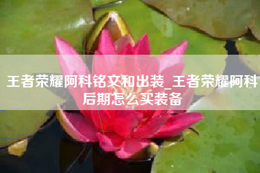 王者荣耀阿科铭文和出装_王者荣耀阿科后期怎么买装备