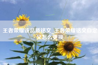 王者荣耀该品质铭文_王者荣耀铭文自定义怎么更换
