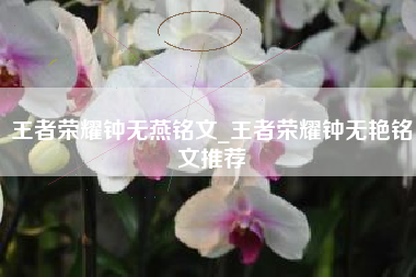 王者荣耀钟无燕铭文_王者荣耀钟无艳铭文推荐