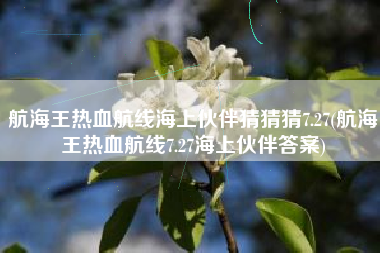 航海王热血航线海上伙伴猜猜猜7.27(航海王热血航线7.27海上伙伴答案)