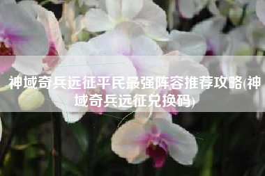 神域奇兵远征平民最强阵容推荐攻略(神域奇兵远征兑换码)