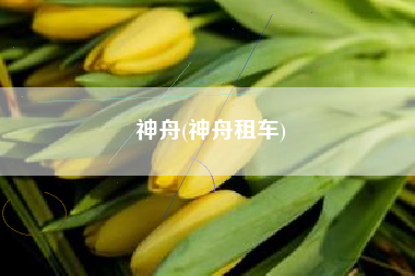 神舟(神舟租车)