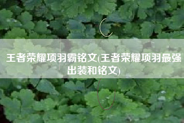 王者荣耀项羽霸铭文(王者荣耀项羽最强出装和铭文)