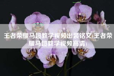 王者荣耀马超教学视频出装铭文(王者荣耀马超教学视频高清)