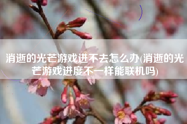 消逝的光芒游戏进不去怎么办(消逝的光芒游戏进度不一样能联机吗)