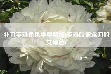补刀英雄角色类型解析(英雄联盟拿刀的女角色)