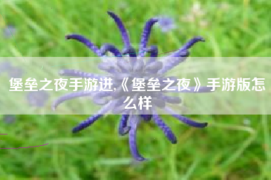 堡垒之夜手游进,《堡垒之夜》手游版怎么样