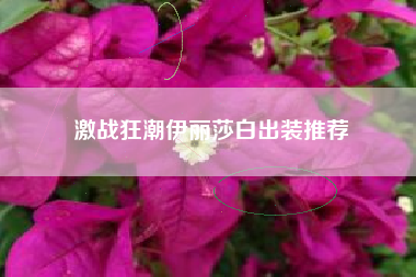 激战狂潮伊丽莎白出装推荐